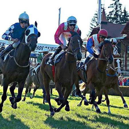 Kv Sokolovská Apartman *