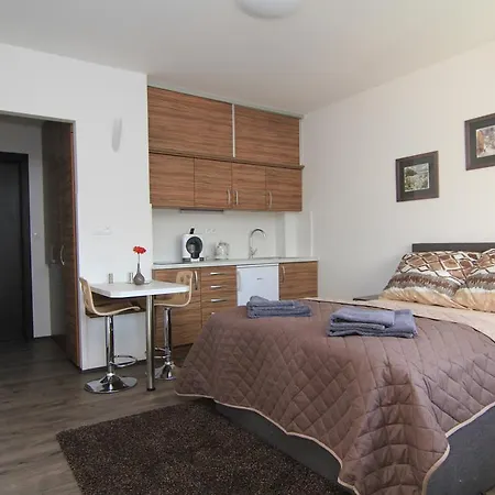 Kv Sokolovska Apartment *